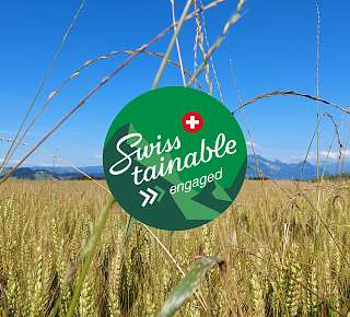 B Titelbild Swisstainable